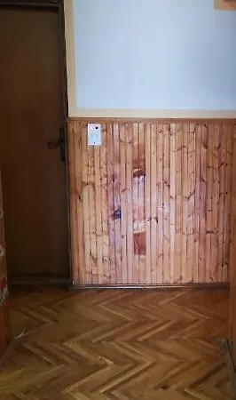 Alex 8 باغينا باستا