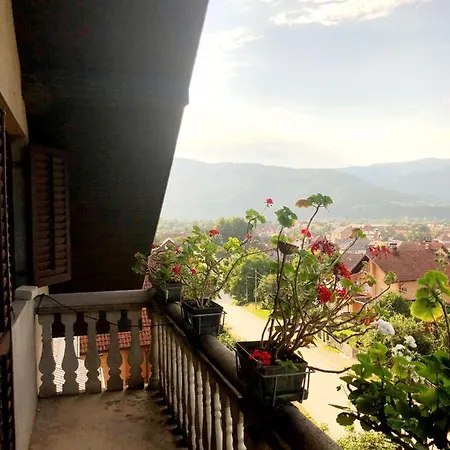 Alex 8 شقة باغينا باستا