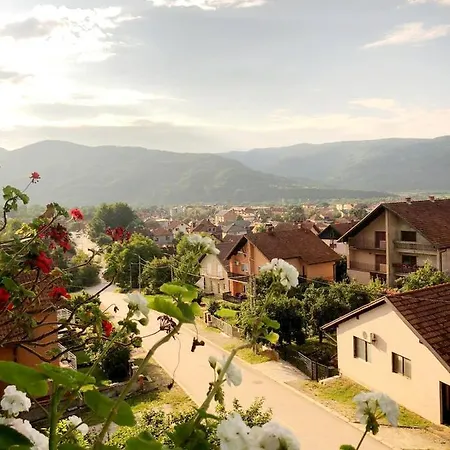 Alex 8 باغينا باستا